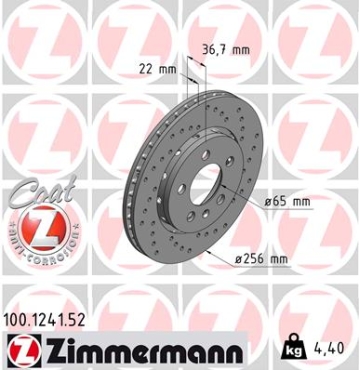 Zimmermann Sport Brake Disc for VW NEW BEETLE (9C1, 1C1) rear